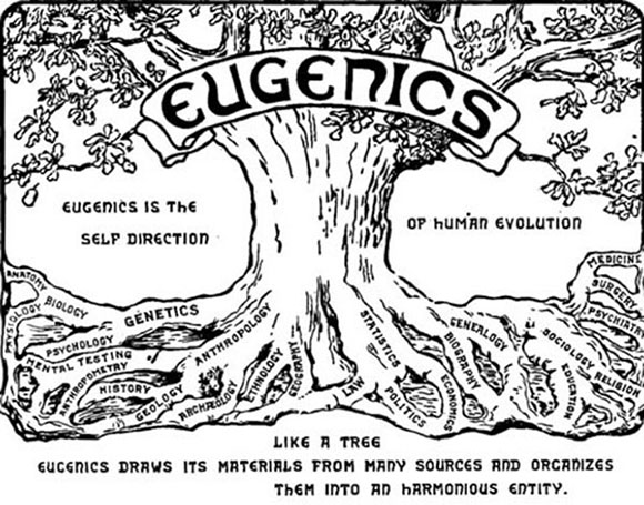 eugenics tree of life