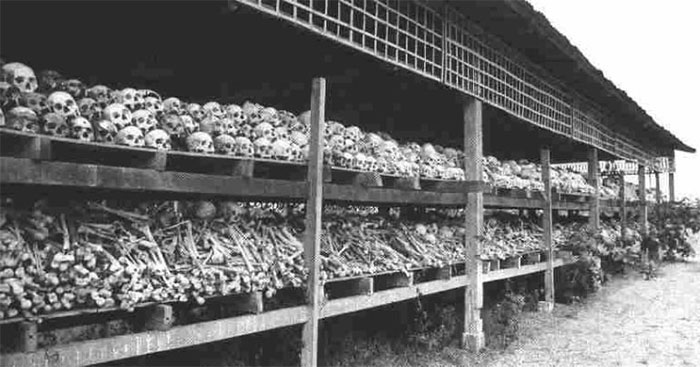 rows and rows of bones